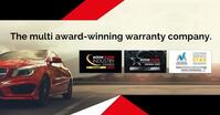 MINI PACEMAN